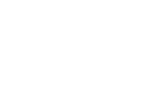Dent Wizard careers
